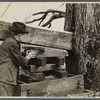Demonstrating homemade cider press at Crabtree Recreational Demonstration Project near Raleigh, North Carolina.
