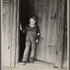 Boy at Crabtree Creek Recreational Project near Raleigh, North Carolina.
