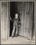 Boy at Crabtree Creek Recreational Project near Raleigh, North Carolina.