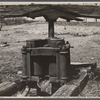 Sorghum press on farmstead on Coalins project [Kentucky?].