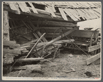 Tool shed of farmstead on Natchez Trace project, near Lexington, Tennessee.