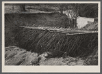 Erosion control on Coalins Forest and Game Reservation, between the rivers section of western Kentucky.