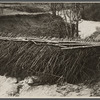 Erosion control on Coalins Forest and Game Reservation, between the rivers section of western Kentucky.