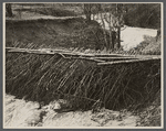 Erosion control on Coalins Forest and Game Reservation, between the rivers section of western Kentucky.