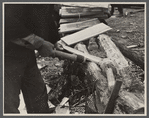 Splitting shingles with froe and maul on Wilson Cedar Forest, near Lebanon, Tennessee.