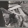 Splitting shingles with froe and maul on Wilson Cedar Forest, near Lebanon, Tennessee.