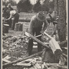 Splitting oak log stump which will in turn be split into shingles at Wilson Forest Project near Lebanon, Tennessee.