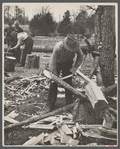 Splitting oak log stump which will in turn be split into shingles at Wilson Forest Project near Lebanon, Tennessee.