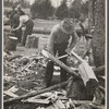 Splitting oak log stump which will in turn be split into shingles at Wilson Forest Project near Lebanon, Tennessee.