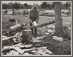 Splitting shingles, Wilson Cedar Forest, near Lebanon, Tennessee.