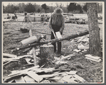 Splitting shingles, Wilson Cedar Forest, near Lebanon, Tennessee.