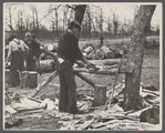 Splitting shingles, Wilson Cedar Forest, near Lebanon, Tennessee.