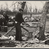 Splitting shingles, Wilson Cedar Forest, near Lebanon, Tennessee.