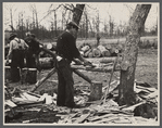 Splitting shingles, Wilson Cedar Forest, near Lebanon, Tennessee.