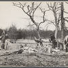 Splitting shingles, Wilson Cedar Forest Project, near Lebanon, Tennessee.