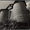 A silo feeding, Prince Georges County, Maryland.