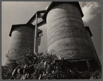 A silo feeding, Prince Georges County, Maryland.
