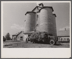 A silo feeding, Prince Georges County, Maryland.