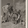 CCC (Civilian Conservation Corps) boys at work, Prince Georges County, Maryland.