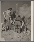 CCC (Civilian Conservation Corps) boys at work, Prince Georges County, Maryland.