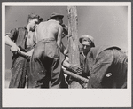 CCC (Civilian Conservation Corps) boys at work, Beltsville, Maryland.