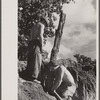 CCC (Civilian Conservation Corps) boys at work, Beltsville, Maryland.