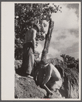 CCC (Civilian Conservation Corps) boys at work, Beltsville, Maryland.