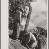 CCC (Civilian Conservation Corps) boys at work, Beltsville, Maryland.
