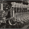Potato laboratory, Prince George's County, Maryland.