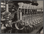 Potato laboratory, Prince George's County, Maryland.