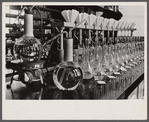 Potato laboratory, Prince George's County, Maryland.