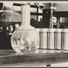 Laboratory. Prince Georges County, Beltsville, Maryland.