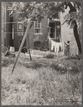 Backyard in slum area, Washington, D.C.