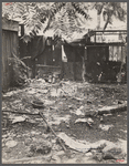 Backyard rubbish, Washington, D.C.