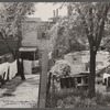 Typical backyard in slum area, Washington, D.C.