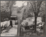 Typical backyard in slum area, Washington, D.C.