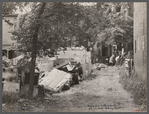 Negro slum backyard. Washington, D.C.