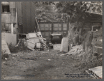Backyard near Government Printing Office, Washington, D.C.