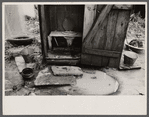 Typical privy in slum section of Washington, D.C.