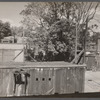 Slum alley. Note dome of Capitol at extreme right. Washington, D.C.