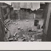 Negro slum backyard, Washington, D.C.