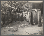 Shabby backyard, Washington, D.C.