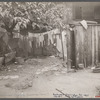 Shabby backyard, Washington, D.C.