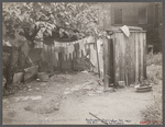 Shabby backyard, Washington, D.C.