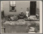 Front of old brick structure in section near Union Station, Washington, D.C. Land is low here and water collects in front and backyard after a rain and remains for many days. Entrances to privies are usually under water.