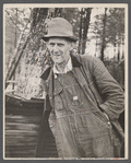 Mountaineer, Cumberland Mountains, Fall Creek Falls, Recreational Demonstration Area, near Pikeville, Tennessee.