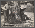 Making shingles at farm on Fall Creek Falls Recreational Demonstration Area, near Pikeville, Tennessee.