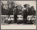 Sons of rehabilitated client, Everett Tune, Dent County, near Salem, Missouri.