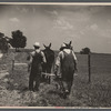 Work on the roads at  Dixon Springs Pasture and erosion control project near Robbs, Illinois.