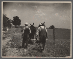 Work on the roads at  Dixon Springs Pasture and erosion control project near Robbs, Illinois.